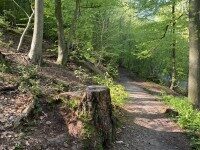 Waldbaden