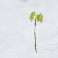 Vernissage - Fotoausstellung “Minimalismus”