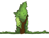 Schaubild hohe Hecke Querschnitt einer hohen Hecke nur mit Kern.