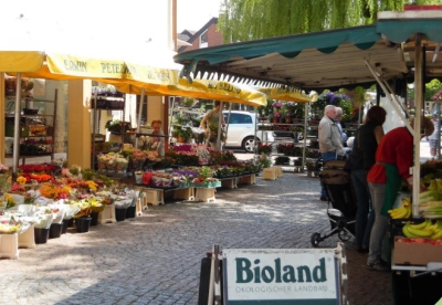 Ein Foto des belebten Wochenmarkts in Mettingen. Stände bieten Obst, Gemüse und andere Waren zum Verkauf an. Die Sonne scheint.