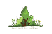 Beschreibung einer Hecke Querschnitt einer Hecke mit den Abschnitten: Saum, Mantel, Kern, Mantel, Saum. Der Kern ist der höchste Abschnitt einer Hecke